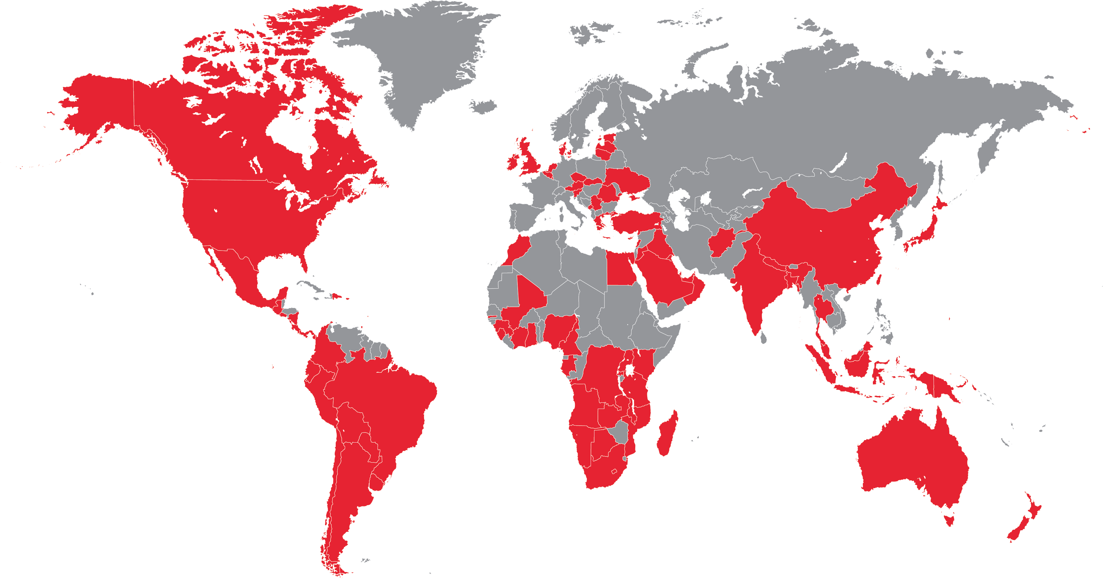 Global Reach  Security Risk Management